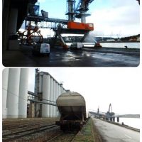 欧州第2の穀物輸出港、ルーアン港（フランス）1-1